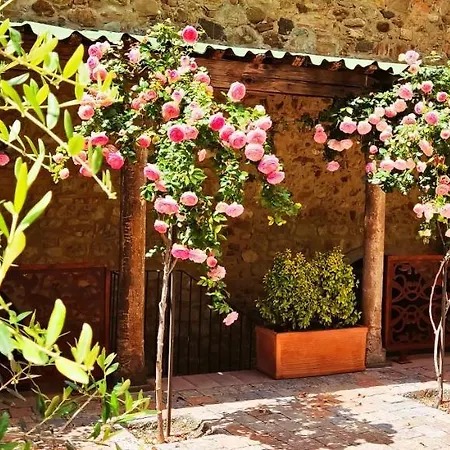 Apartamento Domus Rufus